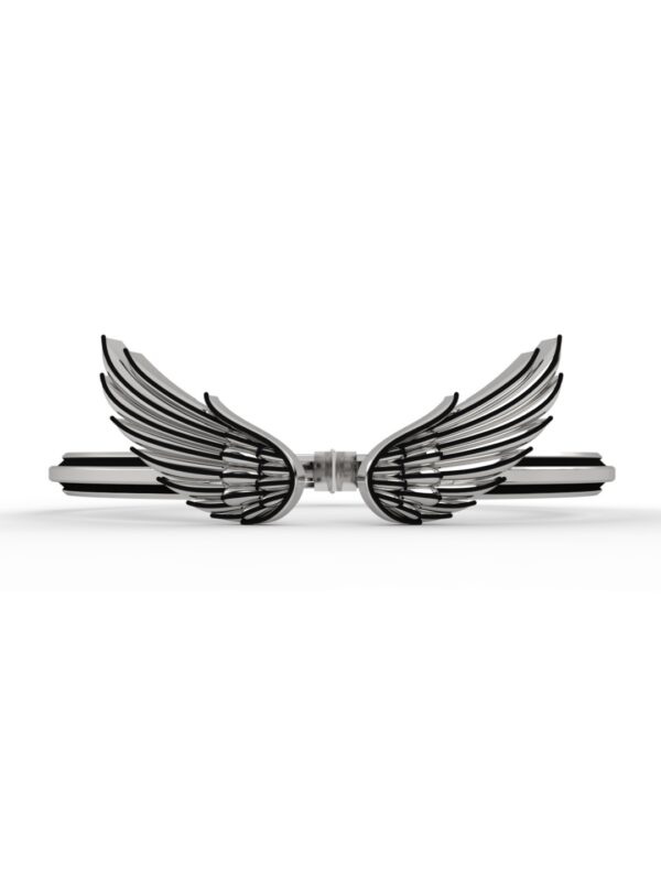 Wings of Freedom - Image 5